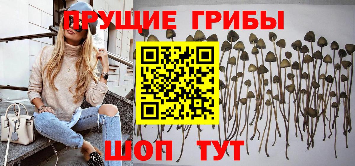 Псилоцибиновые грибы MAGIC MUSHROOMS Каменск-Шахтинский